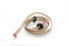 Toon details van S. bandkabel V4.0 Allure Upflow Afbeeldingen van S. bandkabel V4.0 Allure Upflow